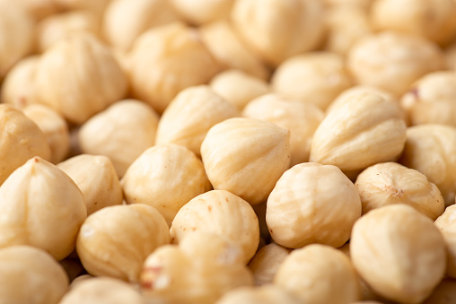 تصویر 3 از فندق غدير ممتاز و صادراتی