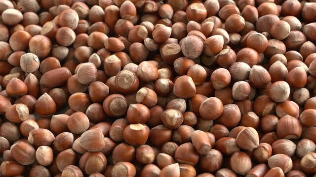 تصویر 3 از فندق گردویی مغز یکدست و خوش‌کیفیت