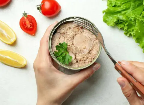 کنسرو تن ماهی مکنزی طعم کلاسیک و دلنشین