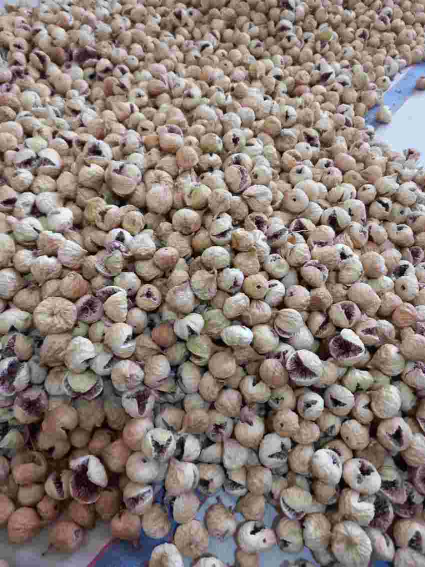 تصویر 5 از فروش عمده انجیر خشک سالم + تامین مستقیم  برای بازار داخلی و صادرات