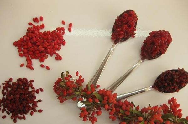 قیمت زرشک پلویی