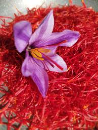 تصویر 2 از زعفران گلخانه ای تازه برداشت‌ شده با رنگ و طعم طبیعی