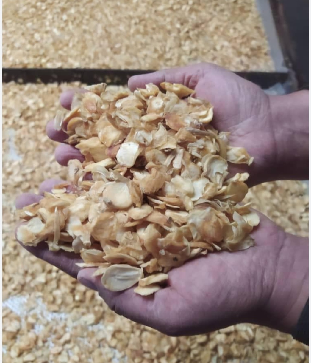 فروش اسلایس سیر با کیفیت عالی