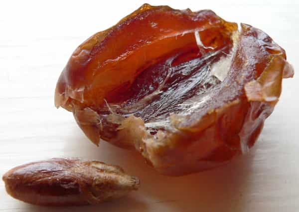 خرما پیارم حجازی تازه و نرم مخصوص پذیرایی مهمانی‌ ها