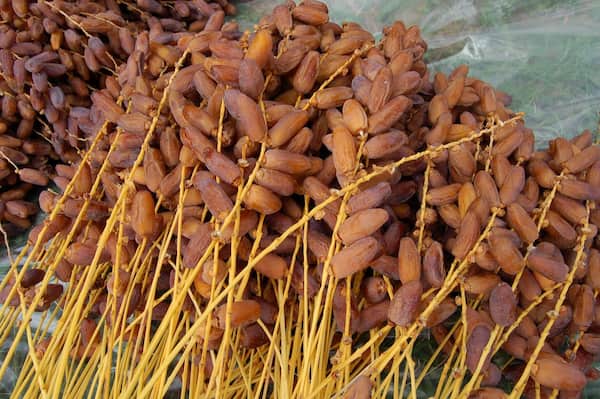 تصویر 4 از خرما پیارم صادراتی مناسب پذیرایی مهمانی ها و مراسم ها