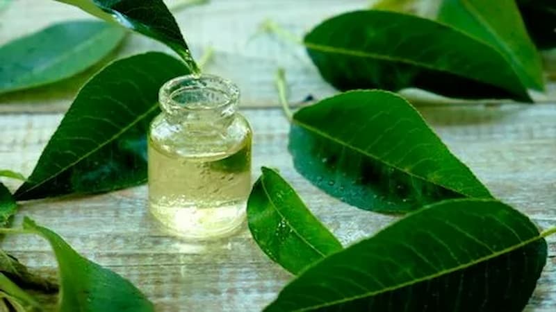 تصویر 3 از گلیسیرین شیرینی با قوام یکنواخت و کاربری تولیدی