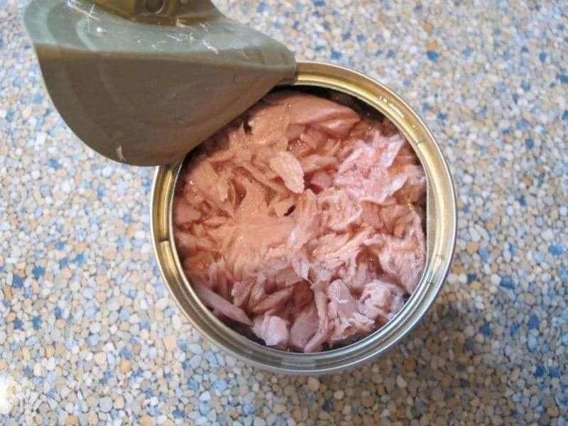 تصویر 3 از کنسرو ماهی طبیعت با ارزش غذایی بالا و طعم اصیل