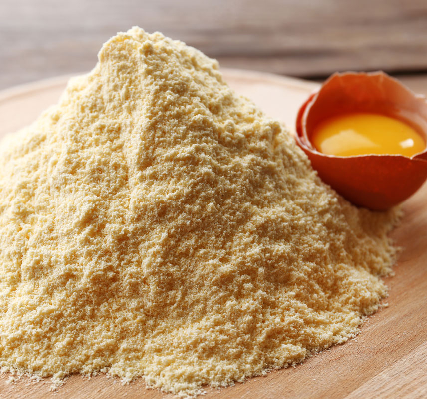 تامین کننده زرده تخم مرغ خطوط تولید