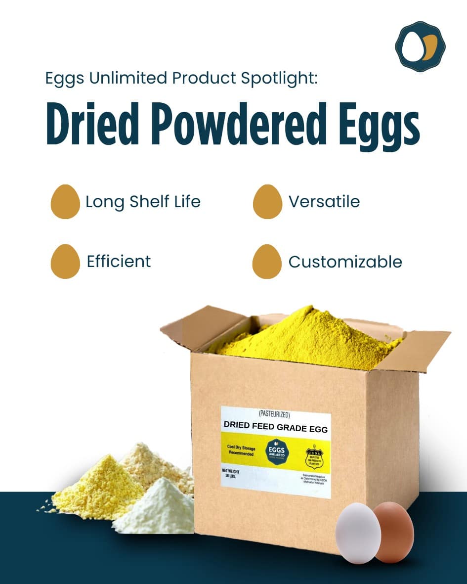 قیمت روز پودر زرده تخم مرغ پاستوریزه
