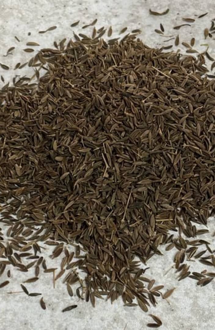 خرید زیره سبز خراسان تازه و معطر | فروش مستقیم زیره سبز مرغوب