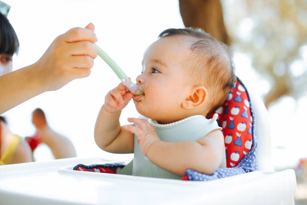 قیمت سویق نی نی نوش