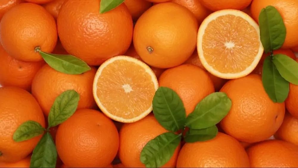 تصویر 3 از پرتقال صحرایی طبیعی با طعم خاص و بافت آبدار