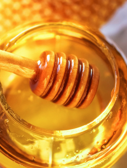 عسل سبلان تهران با ساکارز پایین