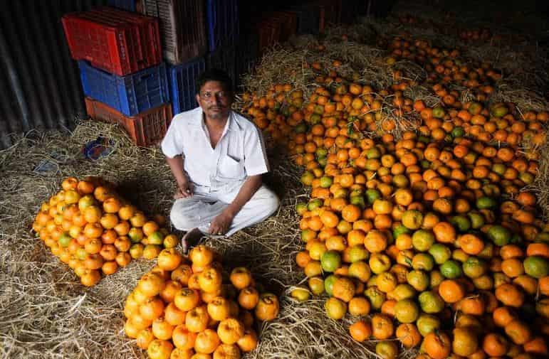 تصویر 4 از نارنگی پوست نازک تازه با طعم ملایم و رنگ درخشان