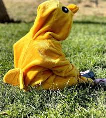 پتو جوجه ای با طرح کارتونی ویژه کودکان با الیاف نرم و سبک