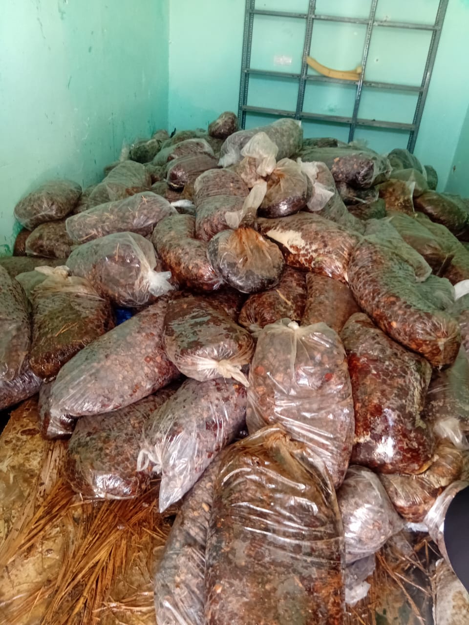 خرما ضایعاتی عنبرآباد ارزان