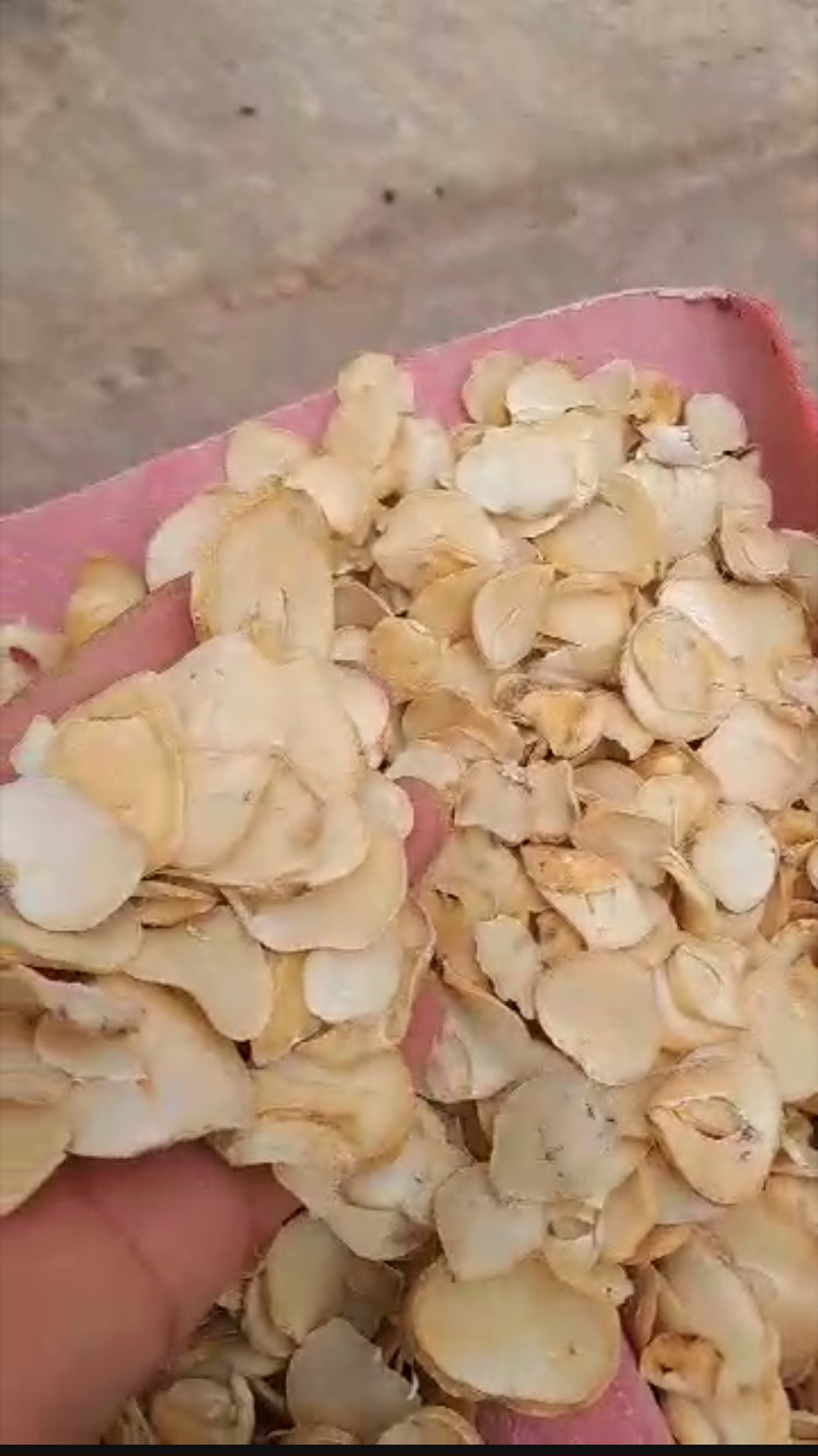 اسلایس موسیر