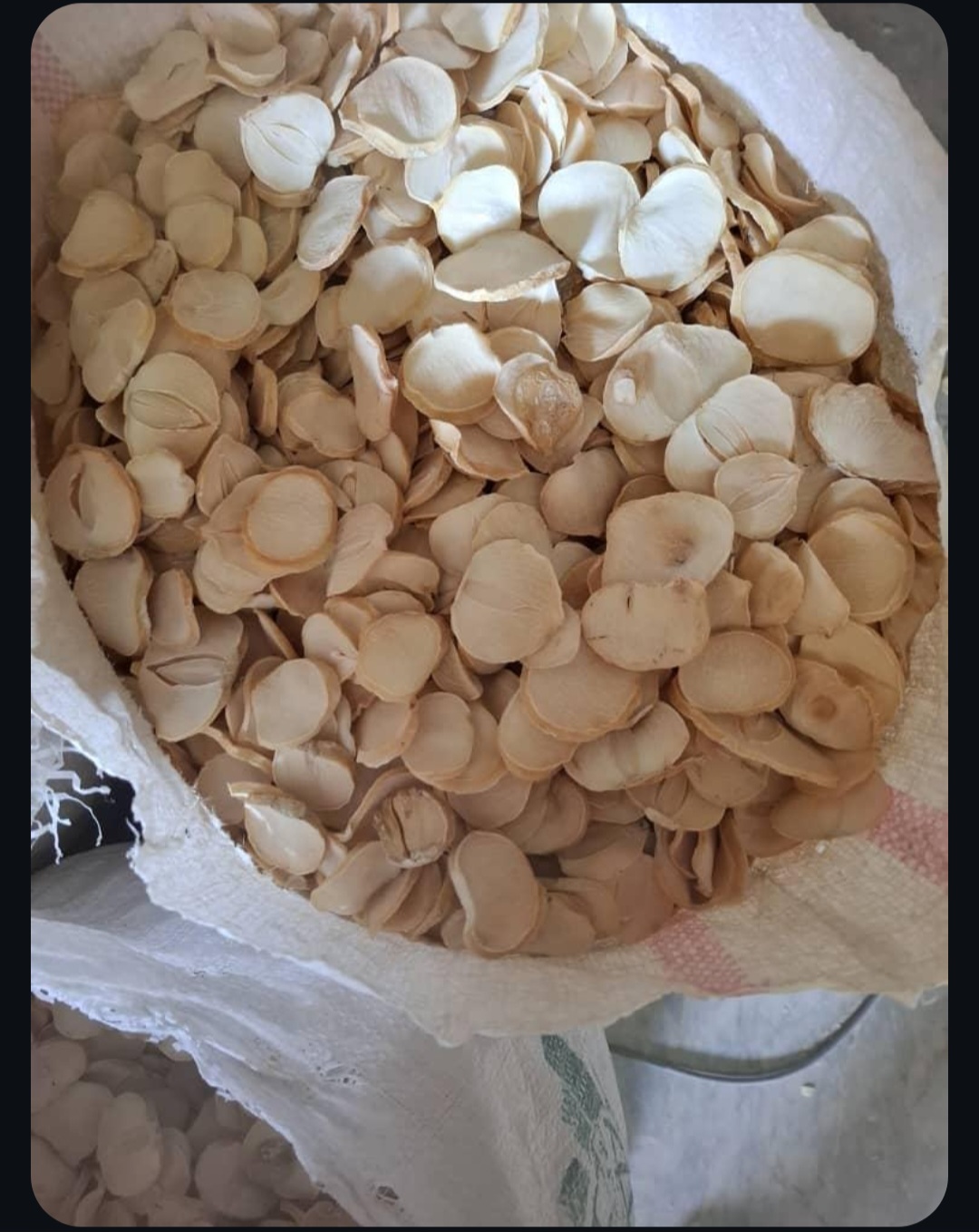 قیمت اسلایس موسیر