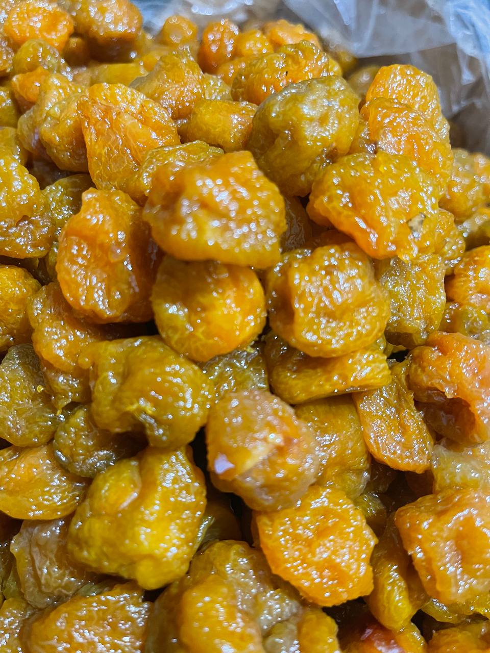 فروش فوری آلو بخارا + طرقبه سبز قیمت مناسب