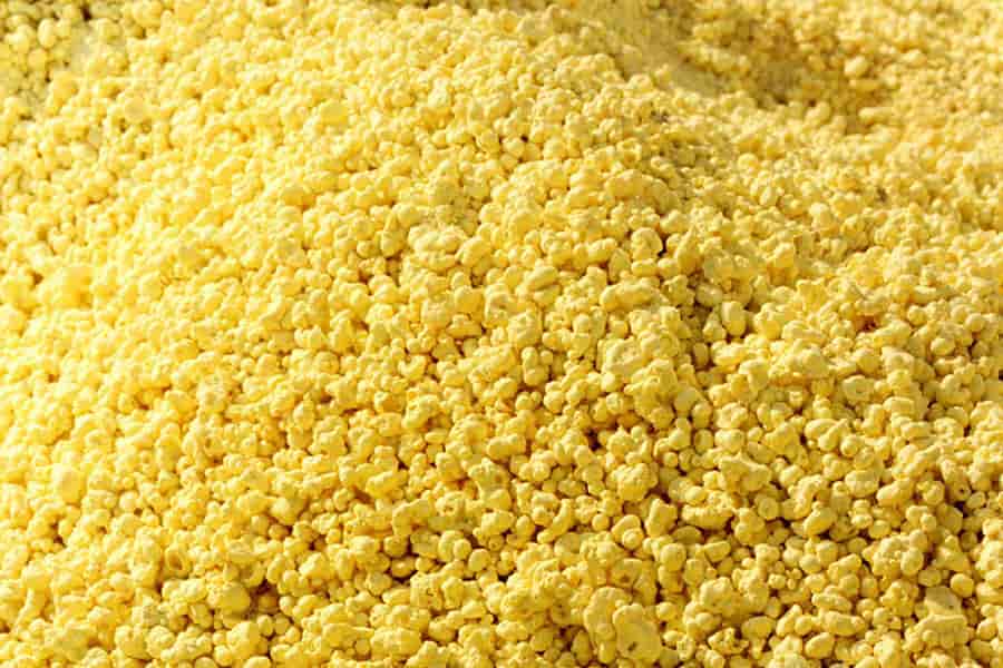 تصویر 1 از گوگرد عدسی قابل حل در آب برای مبارزه با سفیدک پودری خیار و کدو