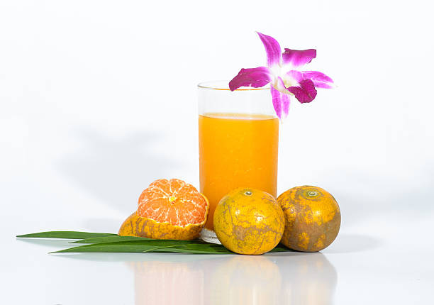 تصویر 3 از کنسانتره پرتقال شمال عیار مناسب با کاربرد صنعتی