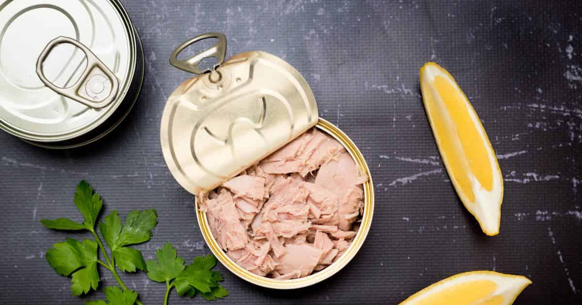 تصویر 2 از کنسرو ماهی در روغن با طعم اصیل و خوشمزه