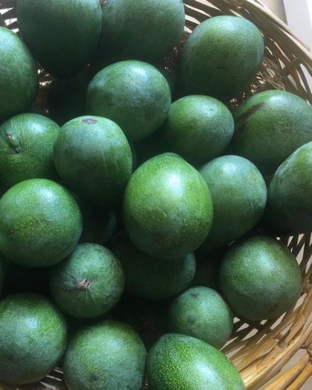 تصویر 1 از لیست قیمت آووکادو تیپ A و B + آووکادو بیکن آووکادو هس