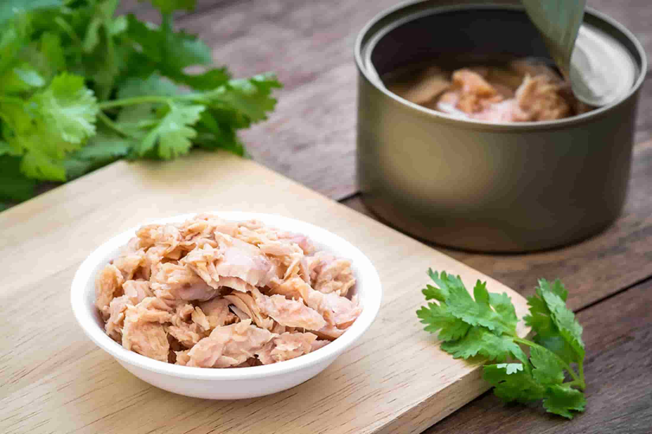 تصویر 4 از کنسرو ماهی ایلیکا با کیفیت بالا و طعم دلپذیر