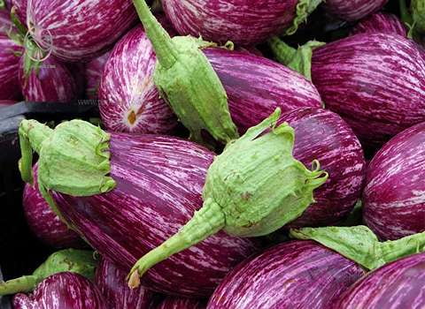 بادمجان صورتی گزینه ای ایده آل برای آشپزی خانگی