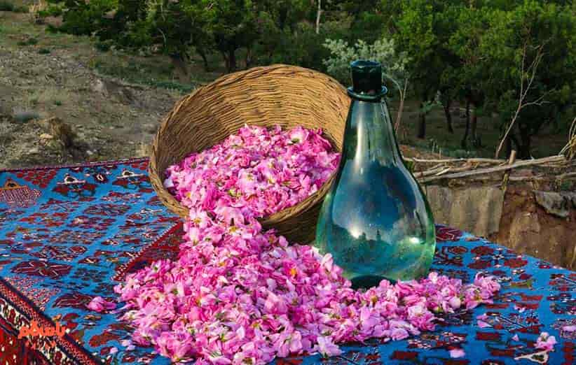 تصویر 2 از گلاب اصل دو آتیشه کاشان با عطر قوي و خلوص بالا