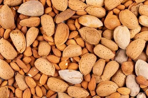 بادام درختی ارگانیک تازه برداشت شده و تضمینی