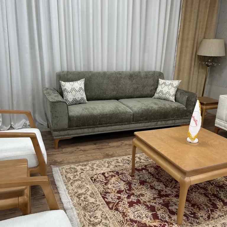 تصویر 2 از قیمت و خرید مبل راحتی رونیکا با طراحی شیک + فروش صادراتی