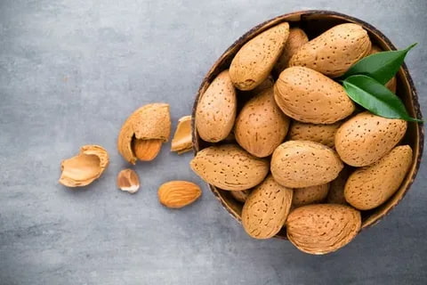 تصویر 2 از بادام درختی سنگی با پوست سخت و عمر طولانی