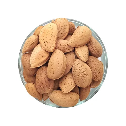 تصویر 1 از بادام درختی سنگی با پوست سخت و عمر طولانی