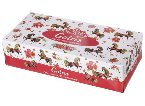دستمال کاغذی گلریز 100 برگ اقتصادی و به صرفه