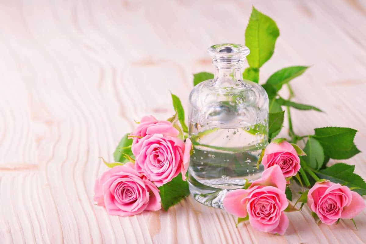 گلاب دو آتیشه با خواص طبیعی و ارزشمند برای سلامت