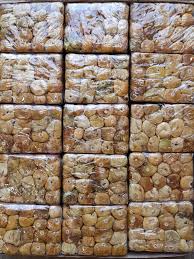 تصویر 4 از انجیر خشک فشرده گزینه‌ ای عالی برای تهیه خوراکی‌ های سنتی