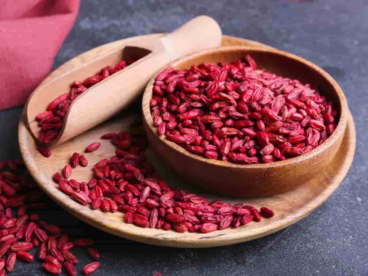 تصویر 4 از زرشک قرمز پفکی تازه و خوش طعم