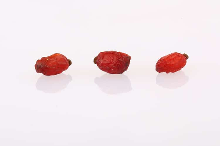 زرشک قرمز پفکی تازه و خوش طعم