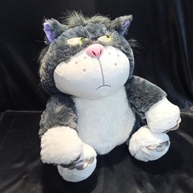 تصویر 1 از عروسک گربه پولیشی طرح کارتونی