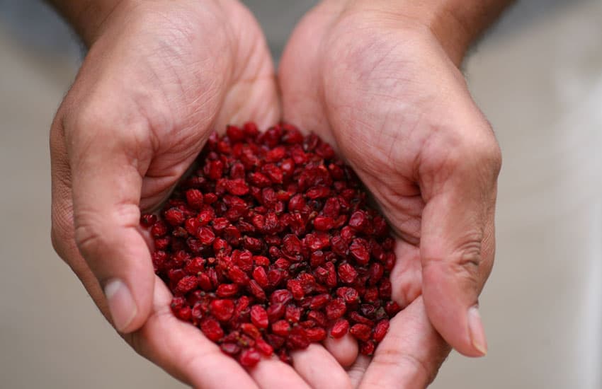 تصویر 1 از زرشک مرغوب ایرانی با کیفیت عالی و تازه