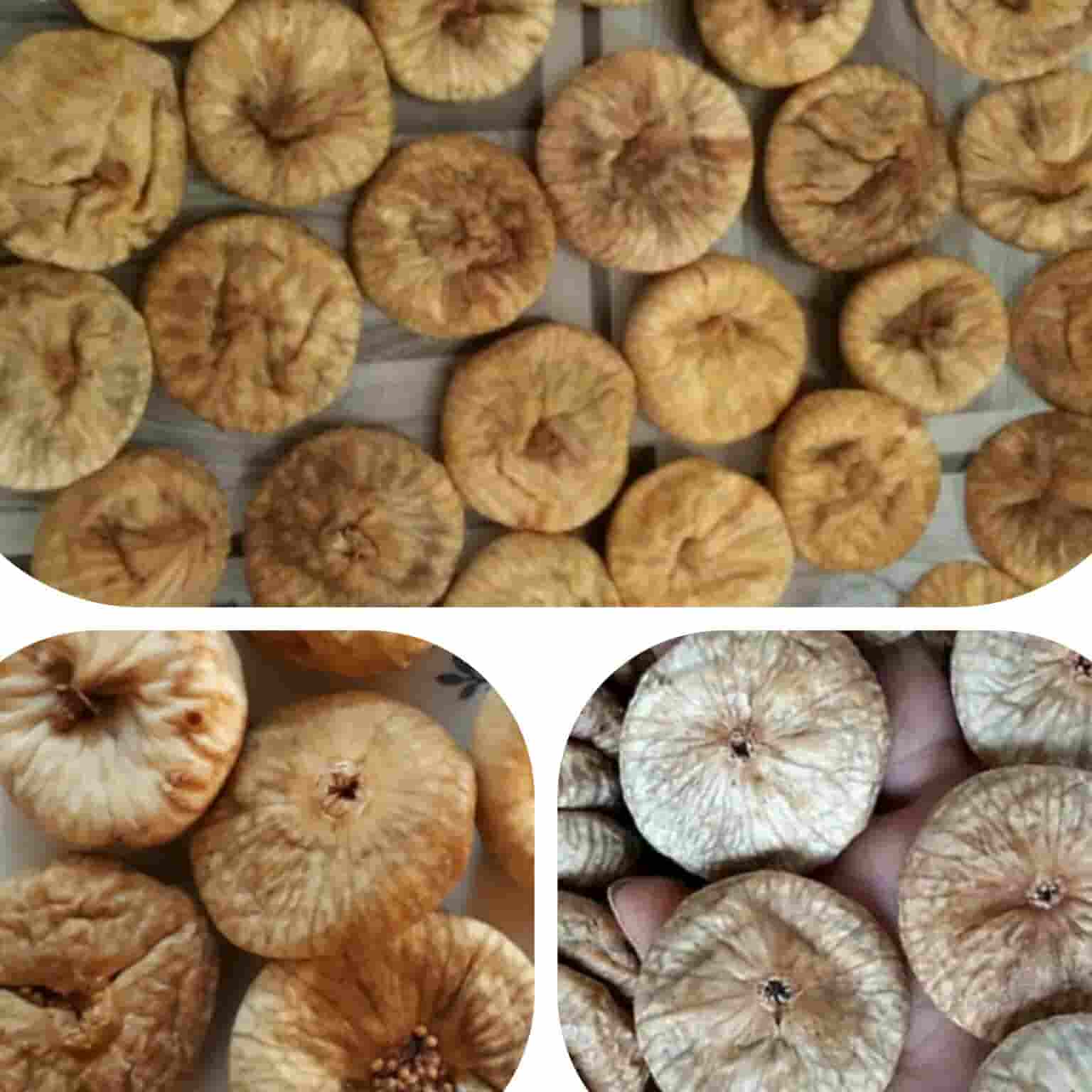 تصویر 4 از انجیر خشک طارم صادراتی و مرغوب برای خرید عمده