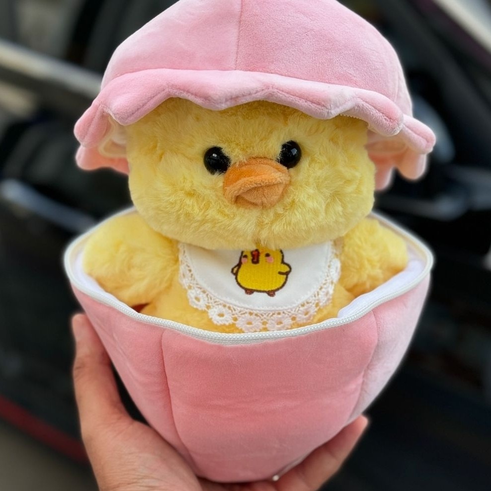 تصویر 2 از عروسک جوجه پولیشی طرح حیوان