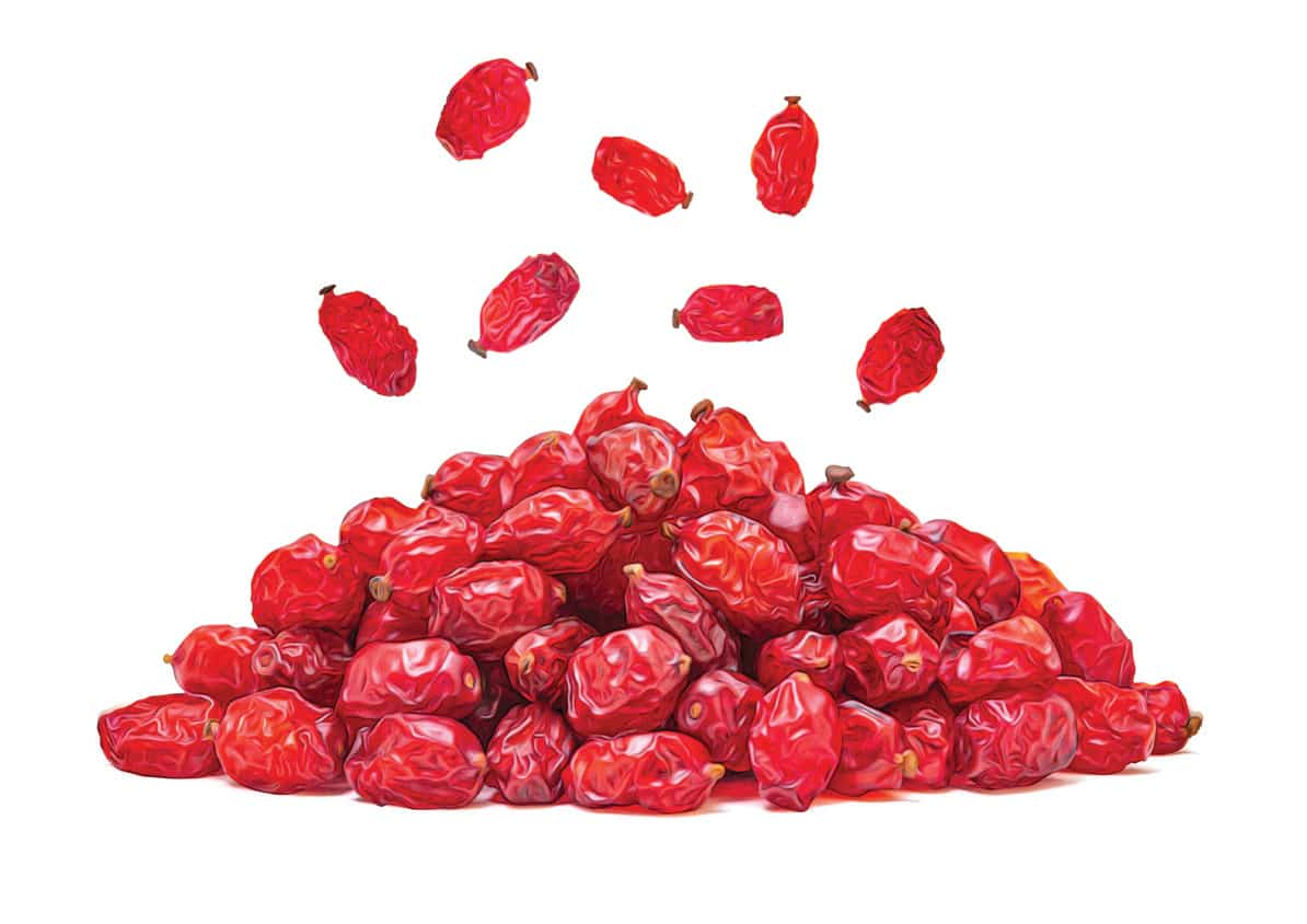 زرشک درجه يک تازه و مرغوب مناسب مصارف خانگي و صادراتي