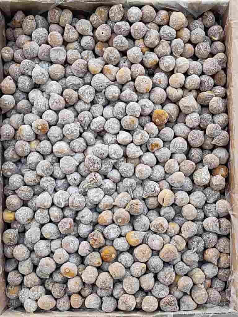 تصویر 1 از انجیر خشک آردی با طعمی خاص و لذیذ