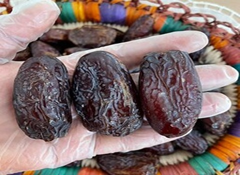 تصویر 1 از خرما مضافتی تازه تجربه‌ ای لطیف و خوش طعم در هر وعده