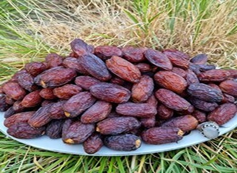 تصویر 1 از خرما مضافتی اصیل تجربه‌ ای سنتی و سالم برای مصرف خانواده