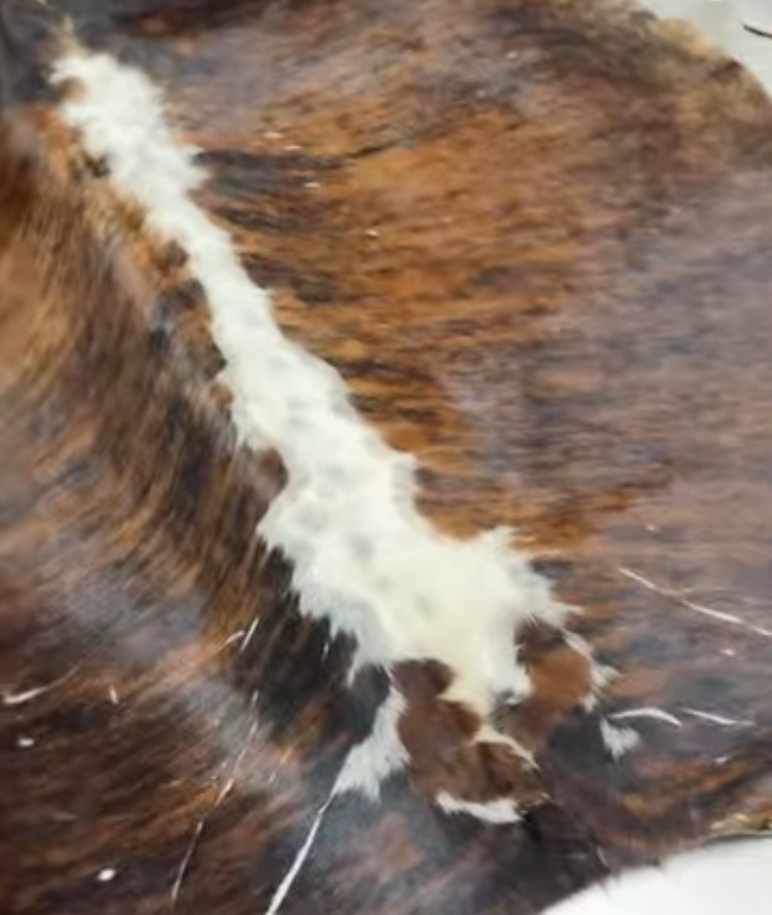 تصویر 1 از چرم گاوی اعلا درفروش عمده