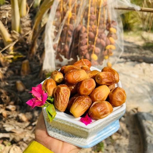 تصویر 3 از خرما زاهدی خشک یک انتخاب بی نظیر