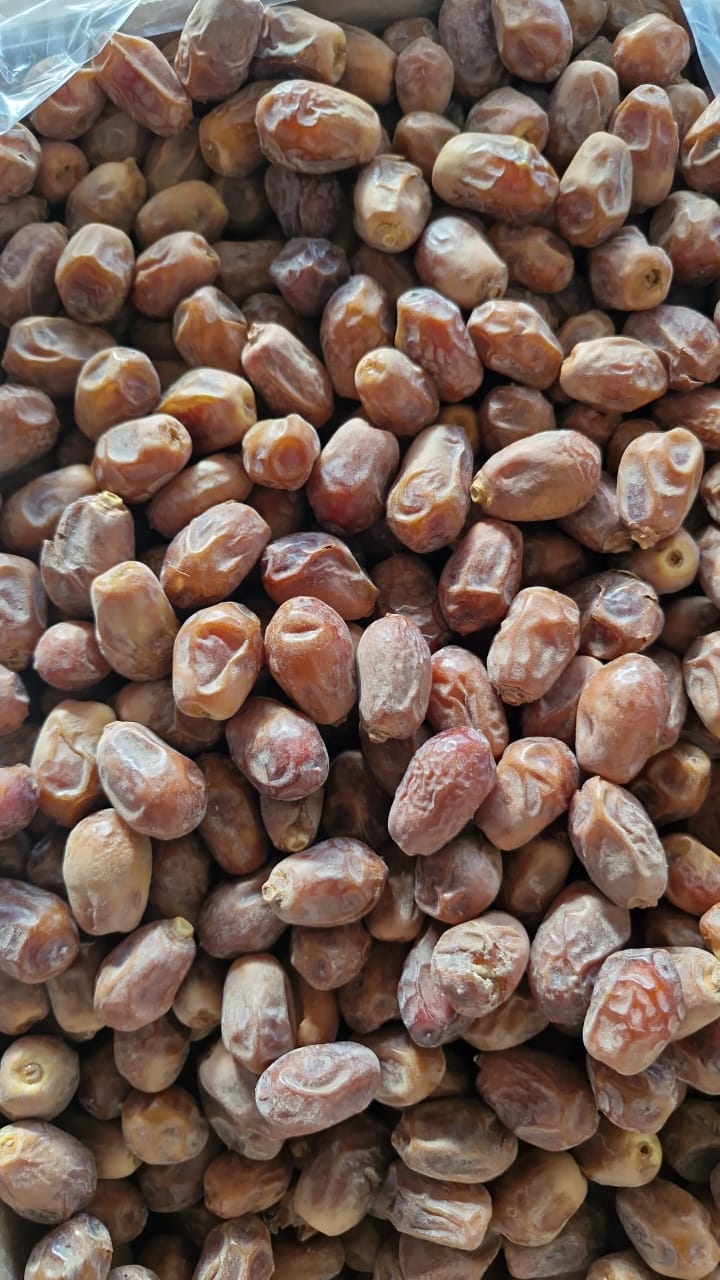 خرما زاهدی عراق با کیفیت عالی